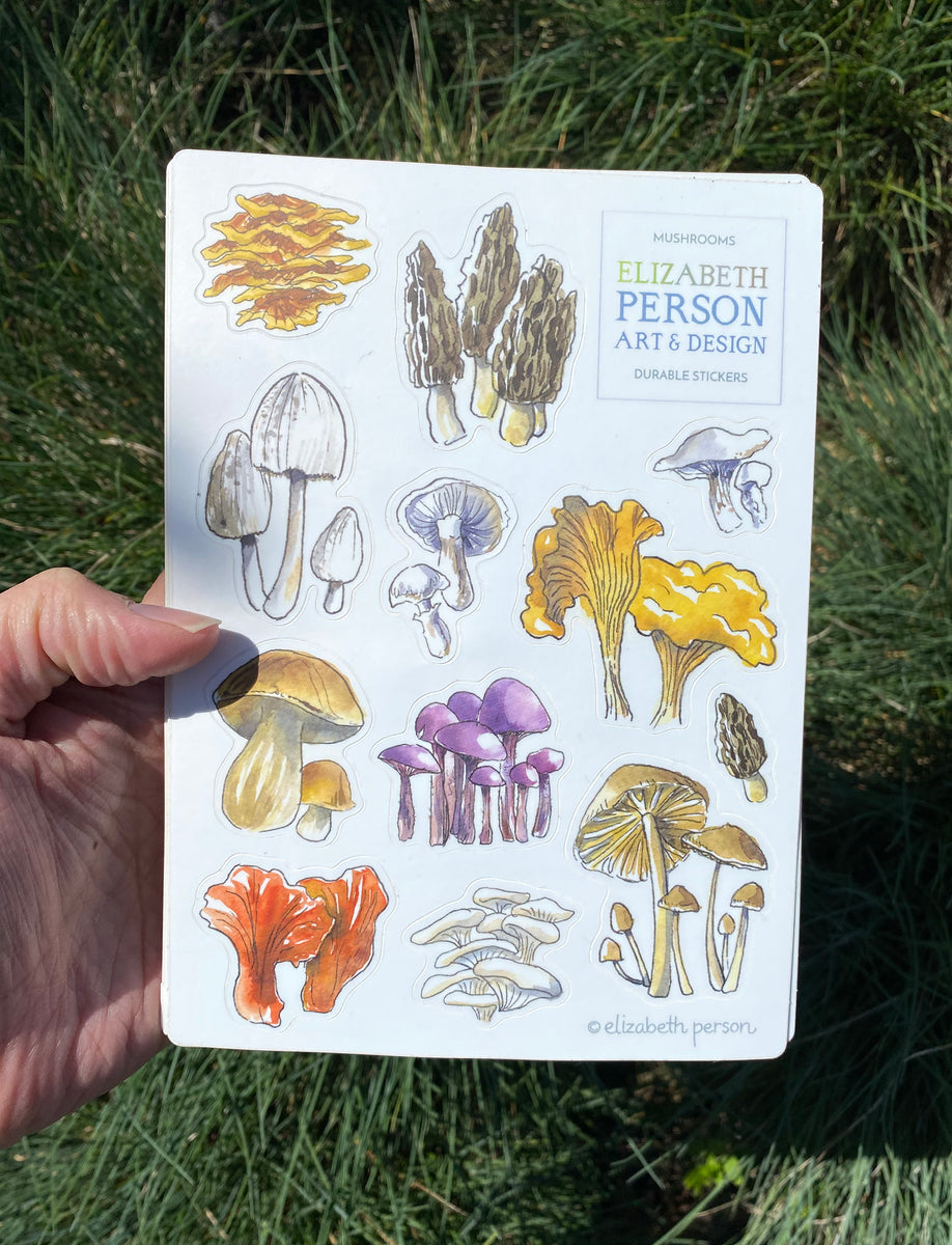 Mushroom Foraging Vinyl Sticker Sheet+Root People Mushroom Bookmark