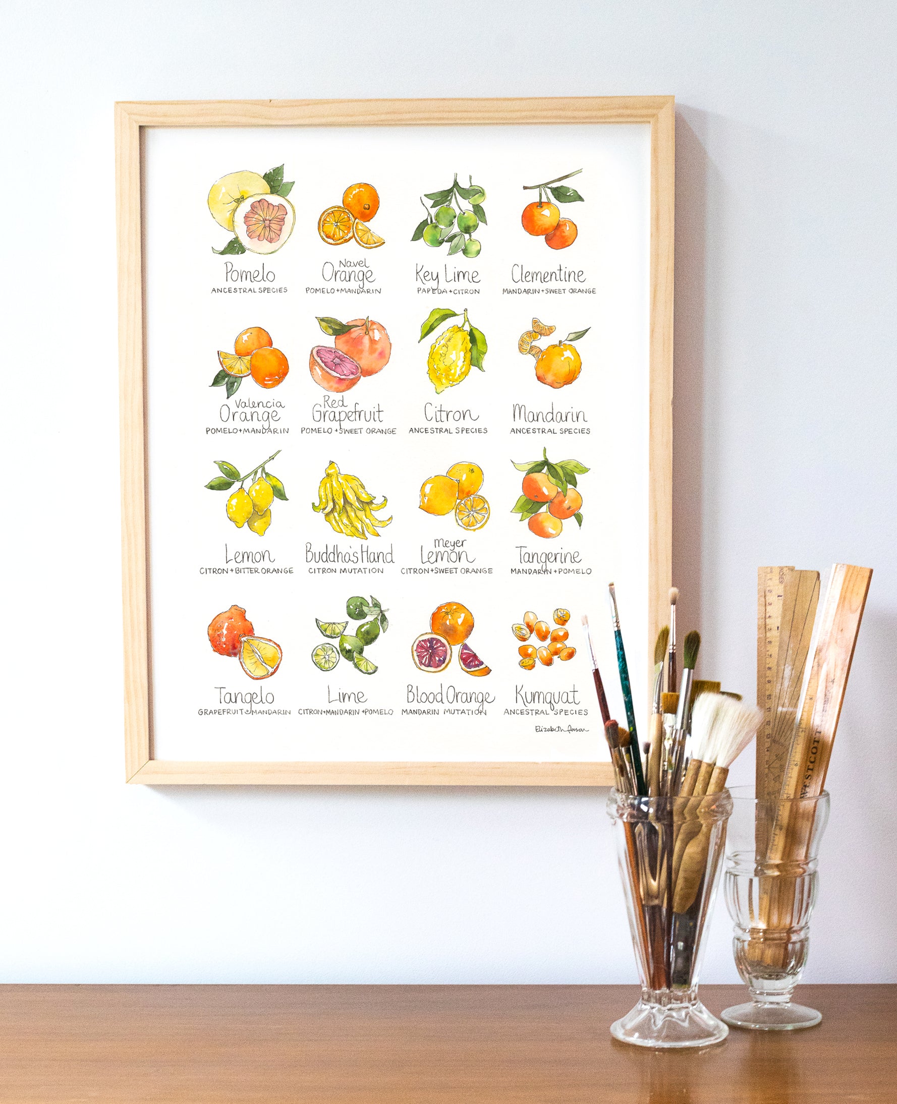 Citrus-Chart-Framed_1778x.jpg?