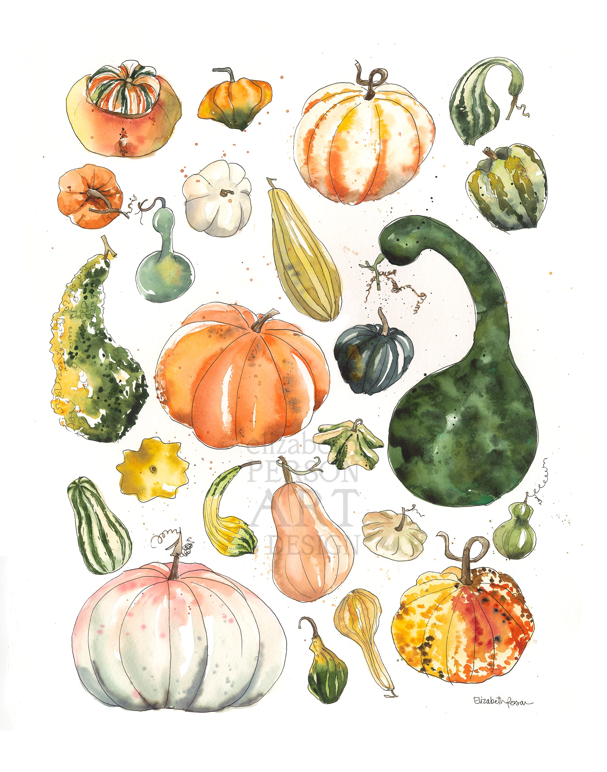 Autumn Gourds Watercolor Art Print – Elizabeth Person Art & Design autumn-gourds-watercolor-art-print-elizabeth-person-art-design