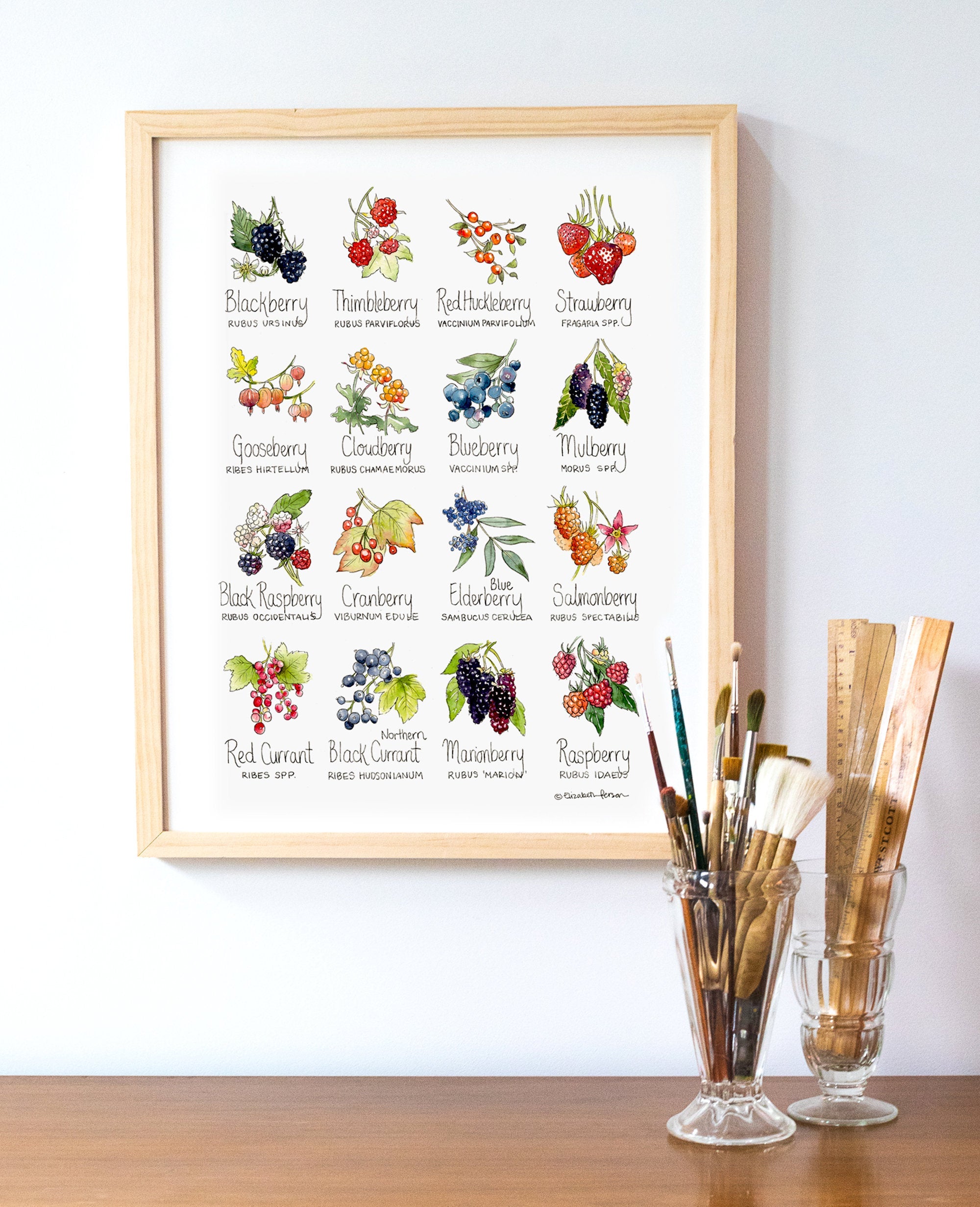 Berries Chart Watercolor Art Print – Elizabeth Person Art